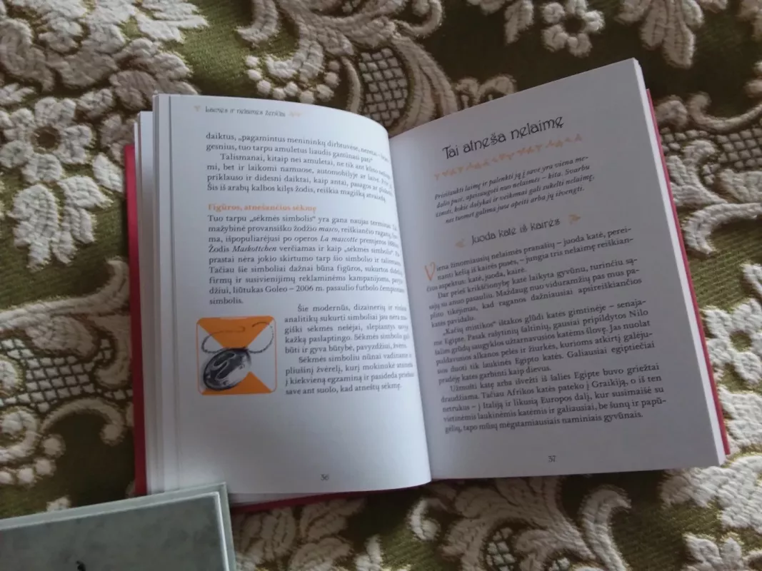 Abra kadabra ir tfiu tfiu tfiu... Prietarai ir kas juose slypi - Dorothea Steinbacher, knyga 3