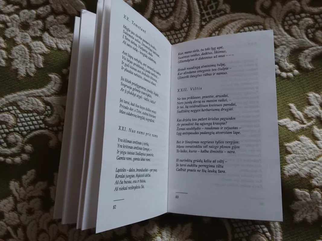 Penktas metų laikas - Alfonsas Bukontas, knyga 3