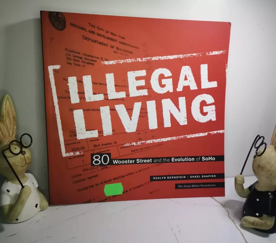 Illegal living - Bernstein Roslyn, knyga