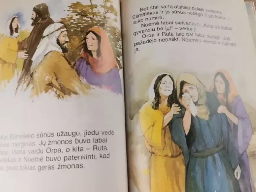 Biblijos skaitiniai patiems mažiausiems (2 tomas). Pažadėtoji žemė - Frank Penni, knyga 4