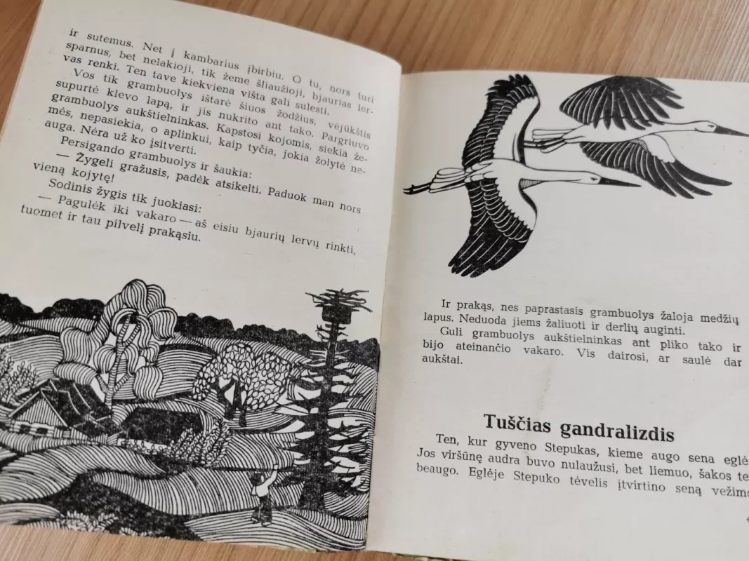 Pavasario žibintai - Gediminas Isokas, knyga 4