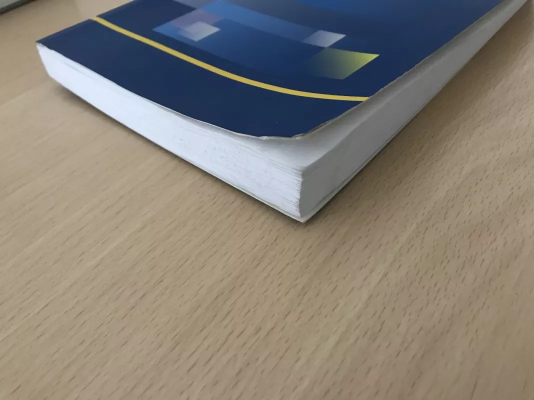 Žmogaus teisės Lietuvoje - Autorių Kolektyvas, knyga 4