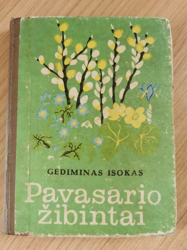 Pavasario žibintai - Gediminas Isokas, knyga 2