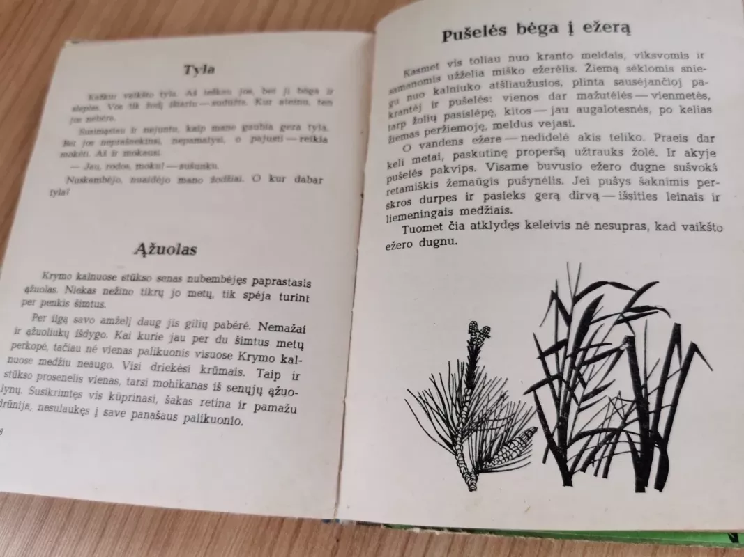 Pavasario žibintai - Gediminas Isokas, knyga 5