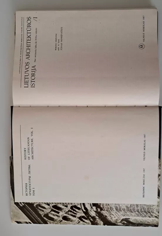 Lietuvos architektūros istorija (1 tomas) - Jonas Minkevičius, knyga 4