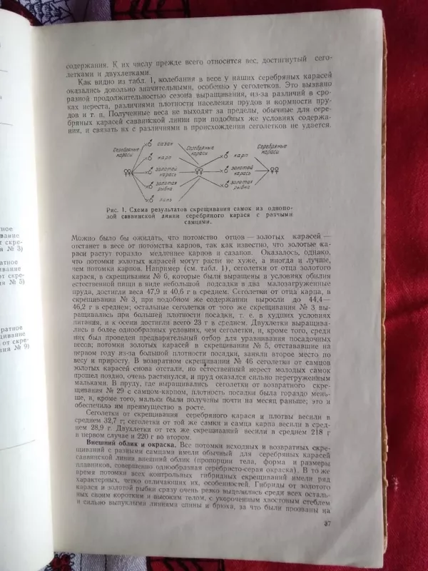 Žuvų veisimas tvenkiniuose ir vandenvietėse rusų kalba - G. Poliakovas, knyga 3