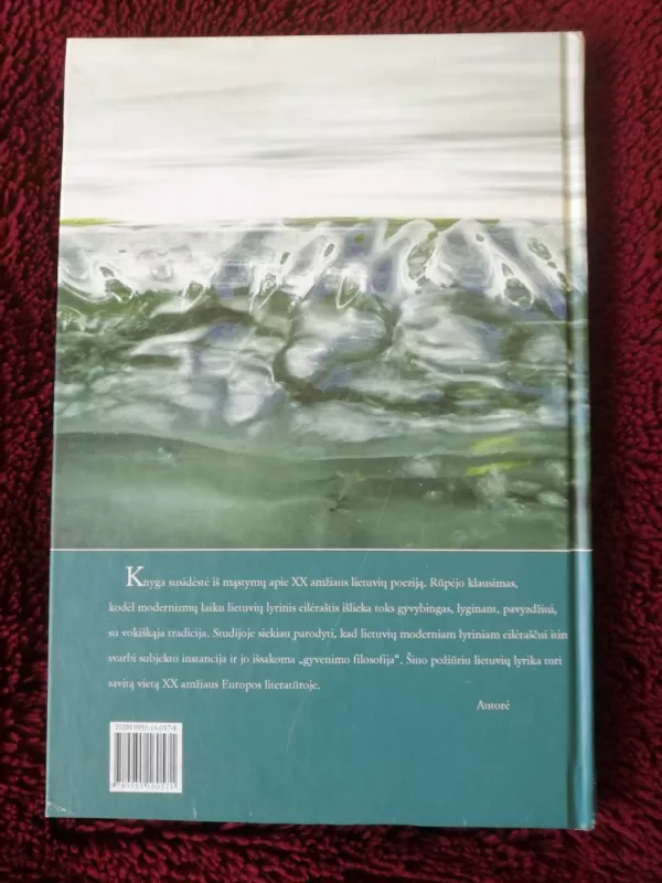 Išliekanti lyrika: XX amžiaus lietuvių poezijos vidinių struktūrų kaita - Rita Tūtlytė, knyga 4