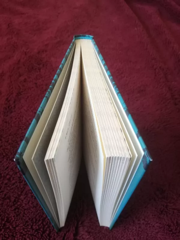 Rebekos salos - Renata Šerelytė, knyga 3