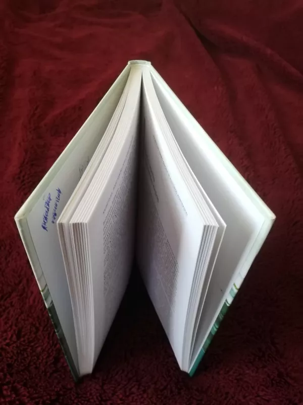 Išliekanti lyrika: XX amžiaus lietuvių poezijos vidinių struktūrų kaita - Rita Tūtlytė, knyga 3