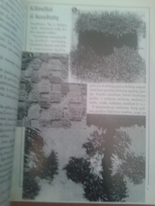 Kuriame kilimėlius, kilimus, užklotus - Autorių Kolektyvas, knyga 3