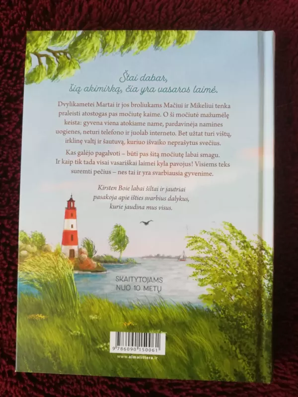 Vasara Somerbyje - Kirsten Boie, knyga 4