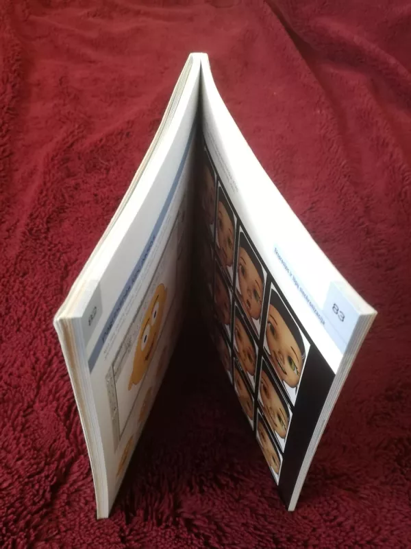 Skaitmeninės animacijos pagrindai - Andy Wyatt, knyga 3