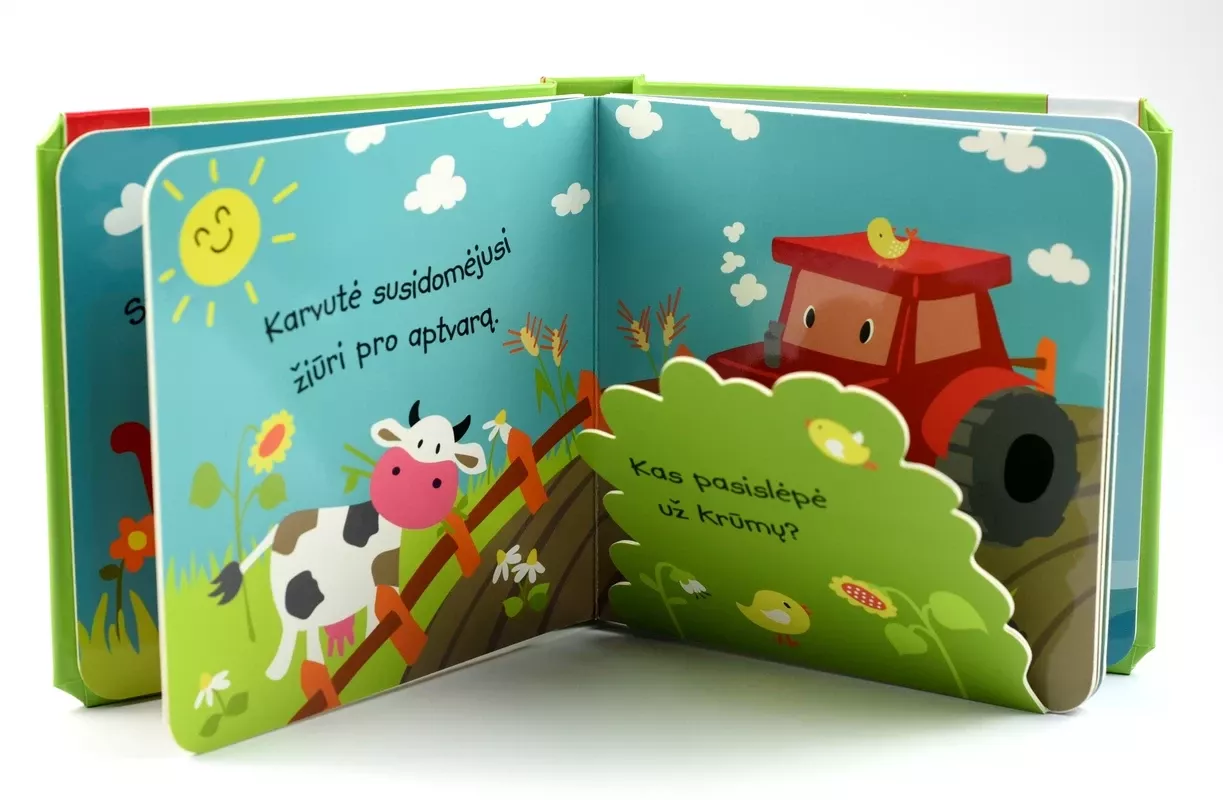 "Mašinėlės. Kas ten slepiasi?", 1+ - Alberta Kiel, knyga 4