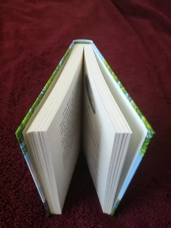 Vasara Somerbyje - Kirsten Boie, knyga 3