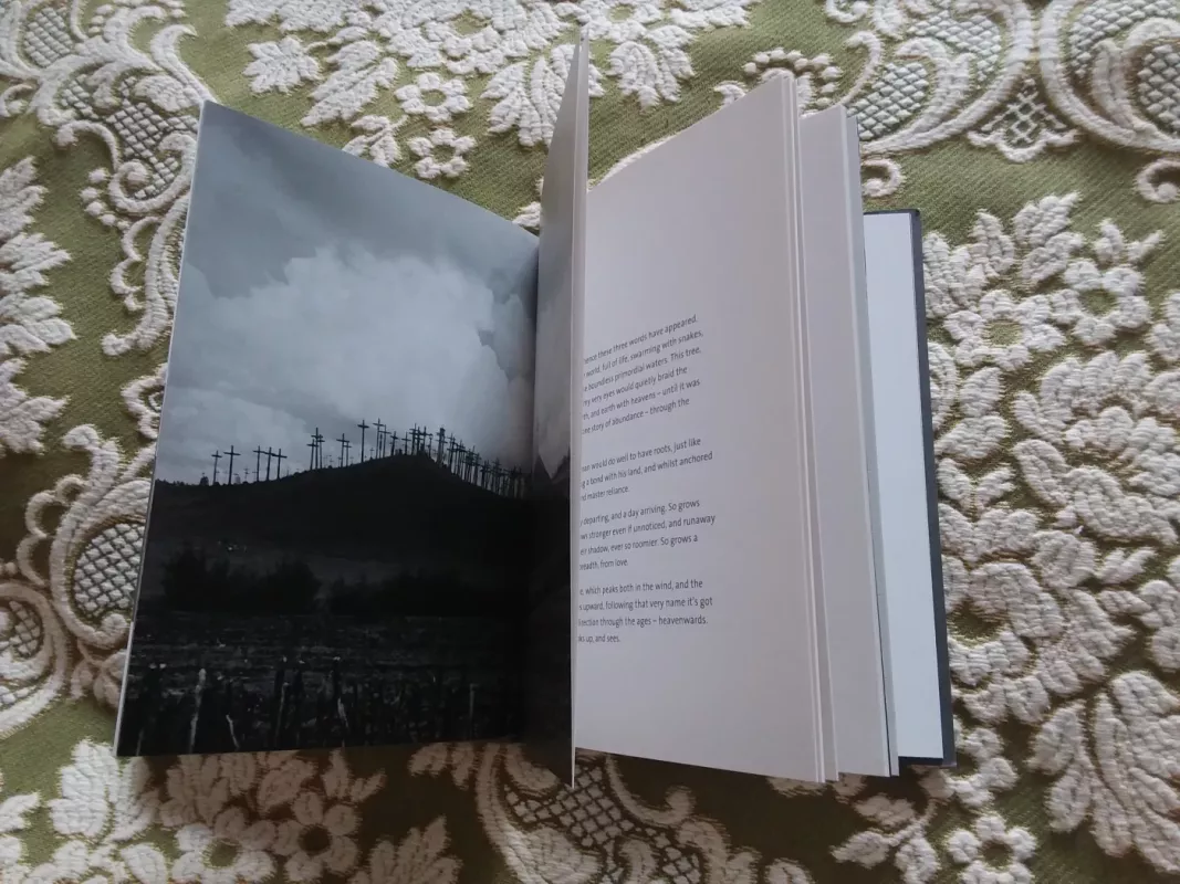 Saldus medi gyvenimo - Rūta Ambrasūnienė, knyga 3