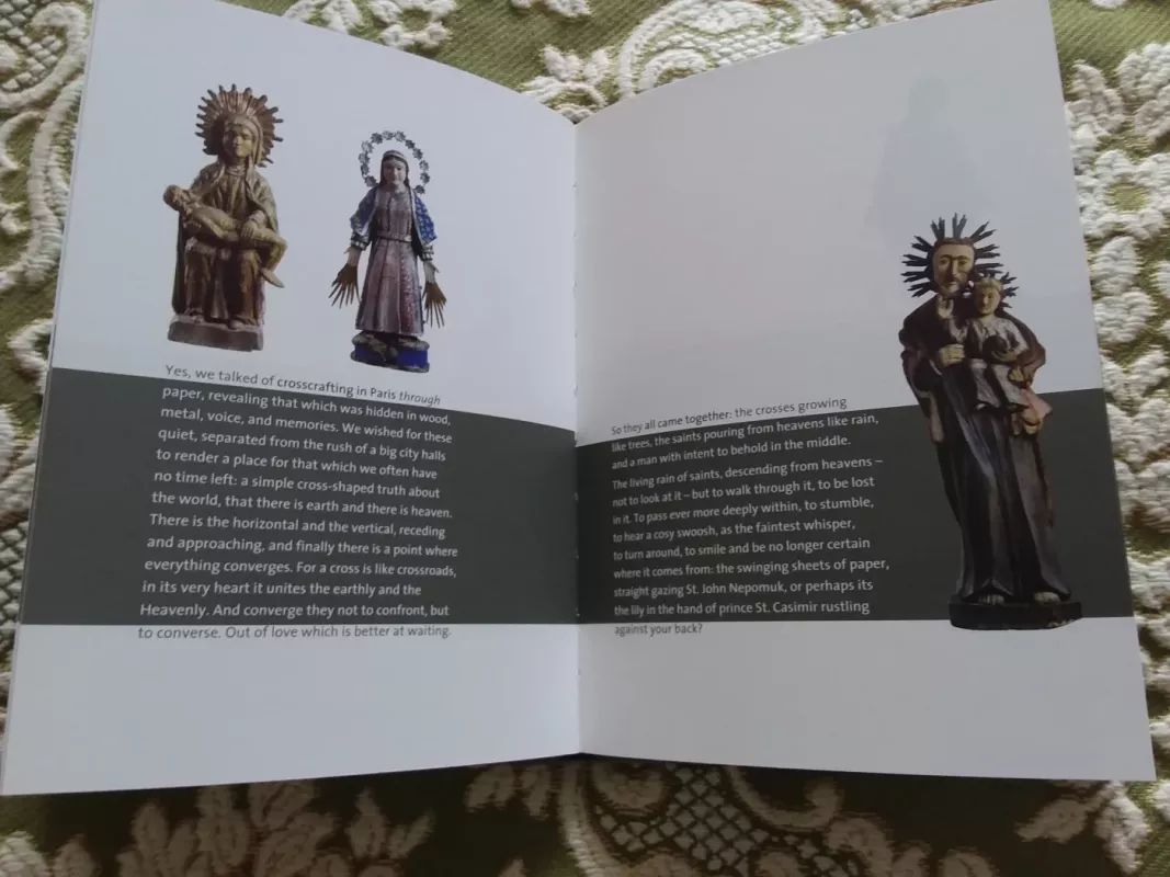 Saldus medi gyvenimo - Rūta Ambrasūnienė, knyga 5