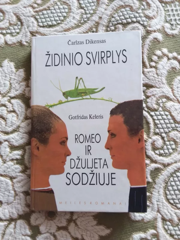 Židinio svirplys. Romeo ir Džiuljeta sodžiuje - Č. Dikensas, knyga 2