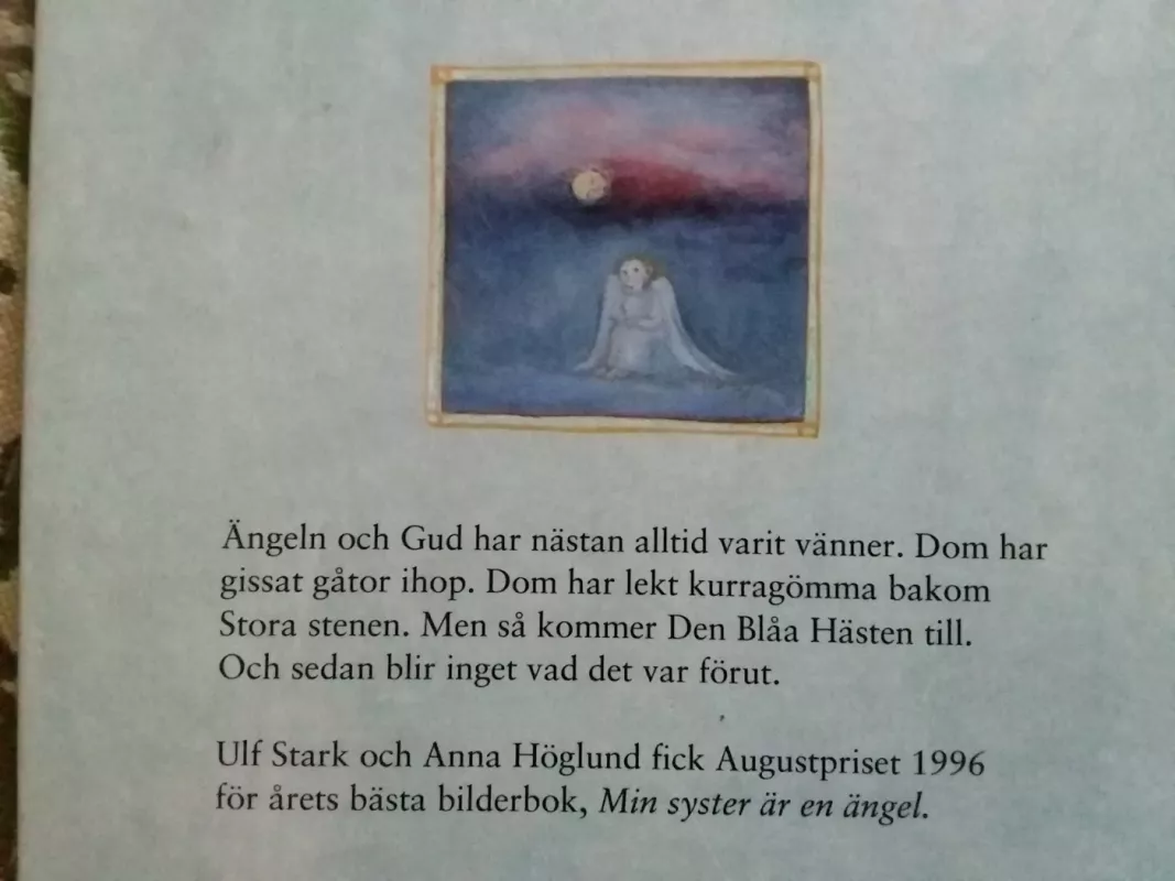 Ängeln och den bla hästen - Ulf Stark, knyga 5