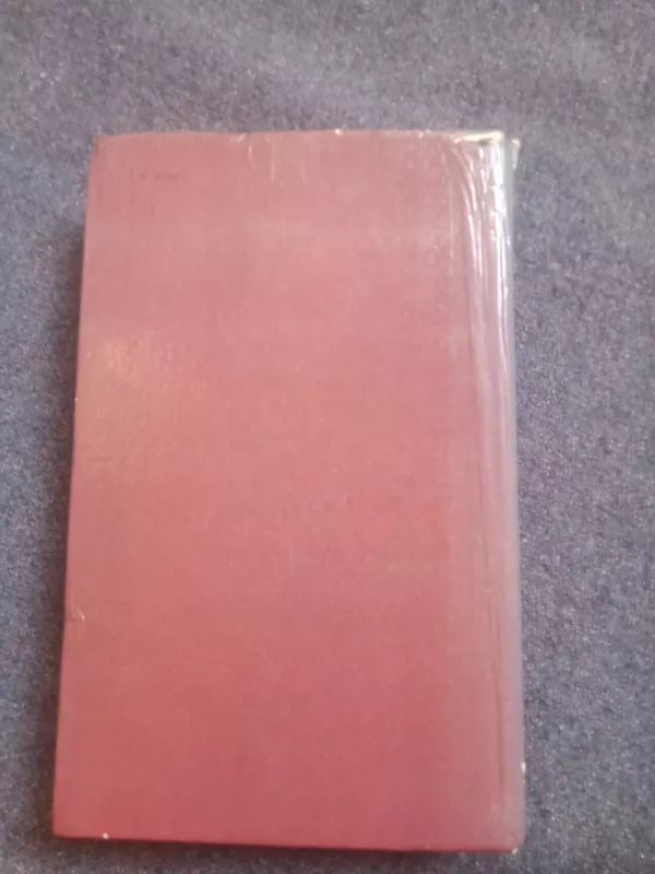 Tomo Sojerio ir Heklberio Fino nuotykiai - Markas Tvenas, knyga 3