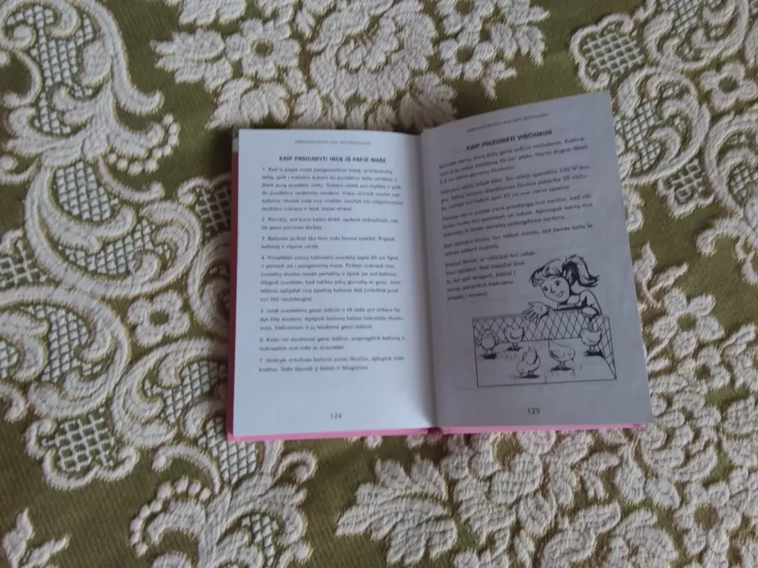 Mergaitės knyga - Juliana Foster, knyga 4