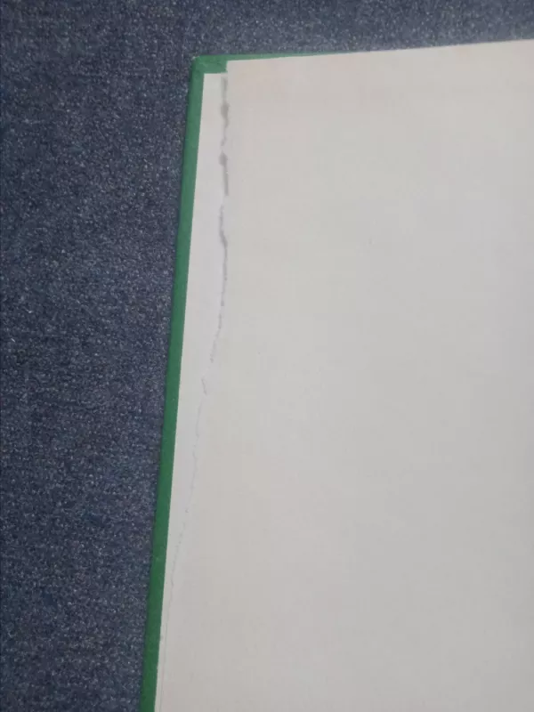 Lietuvių kalbos stilistika - Kazimieras Župerka, knyga 3