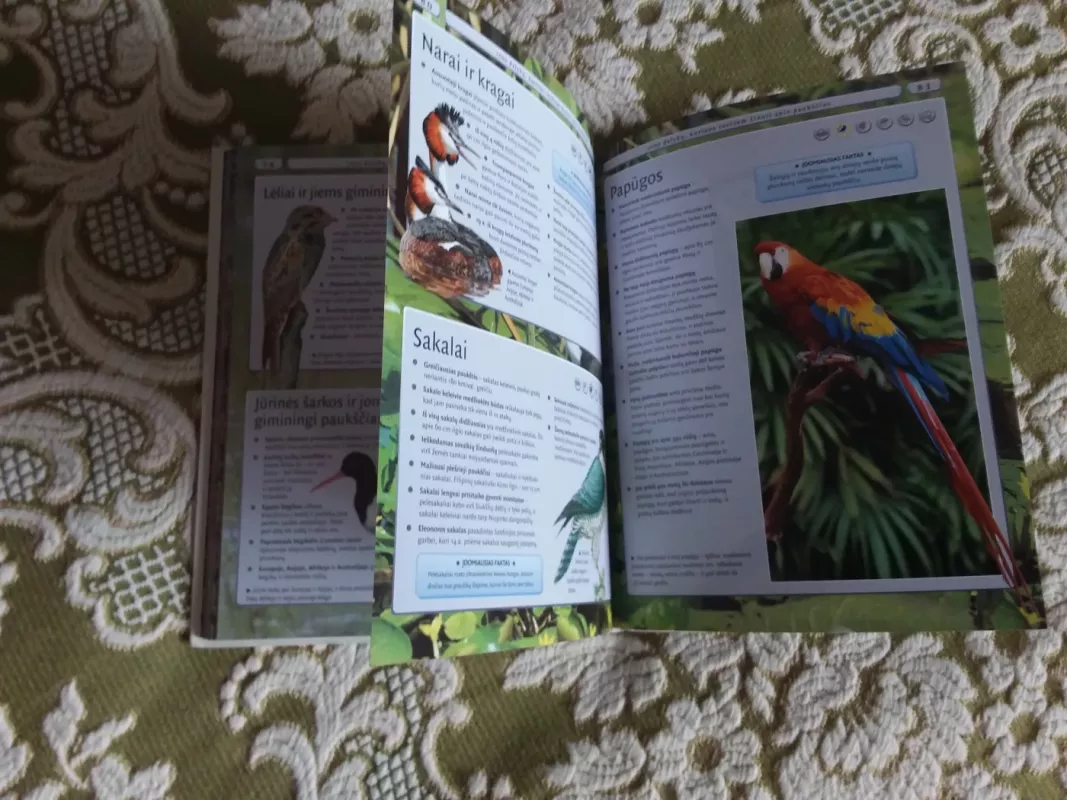 4000 dalykų, kuriuos turėtum žinoti apie gyvūnus - Autorių Kolektyvas, knyga 3