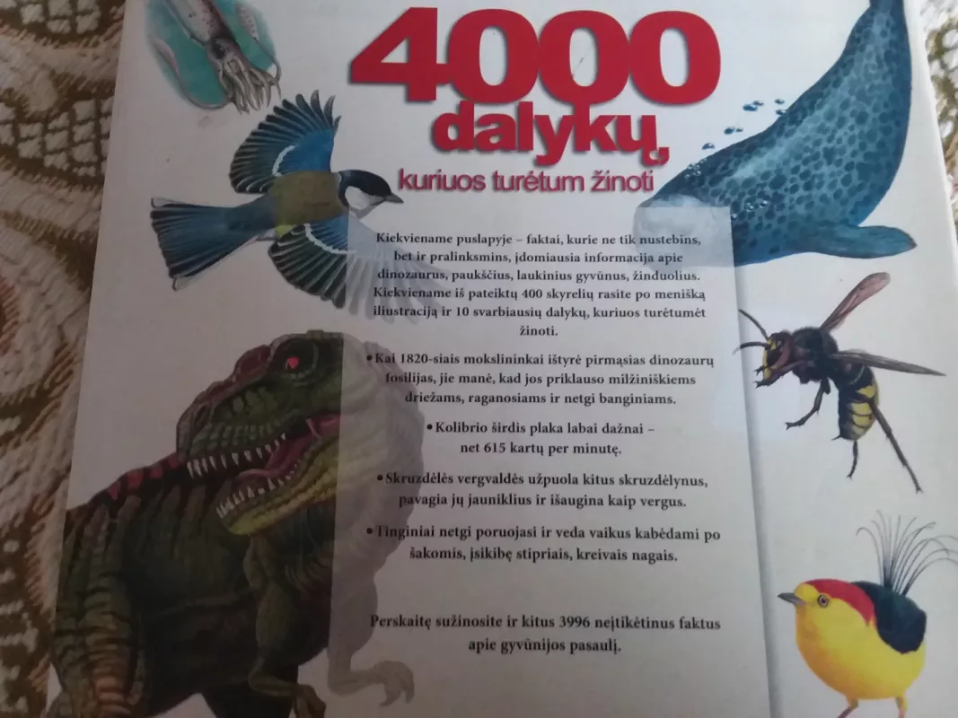 4000 dalykų, kuriuos turėtum žinoti apie gyvūnus - Autorių Kolektyvas, knyga 6
