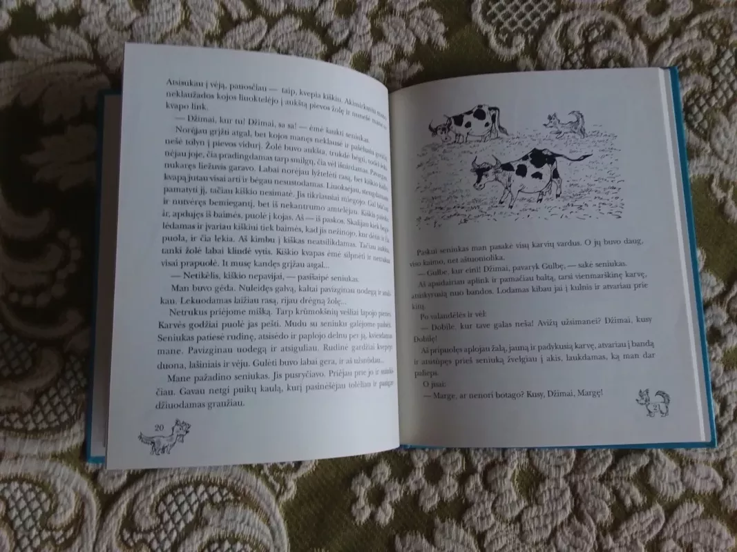 Rudis, kuris tapo Džimu - Emilija Liegutė, knyga 2