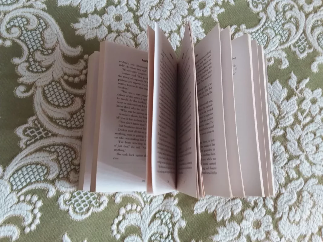 Walk the Wire - Baldacci David, knyga 3