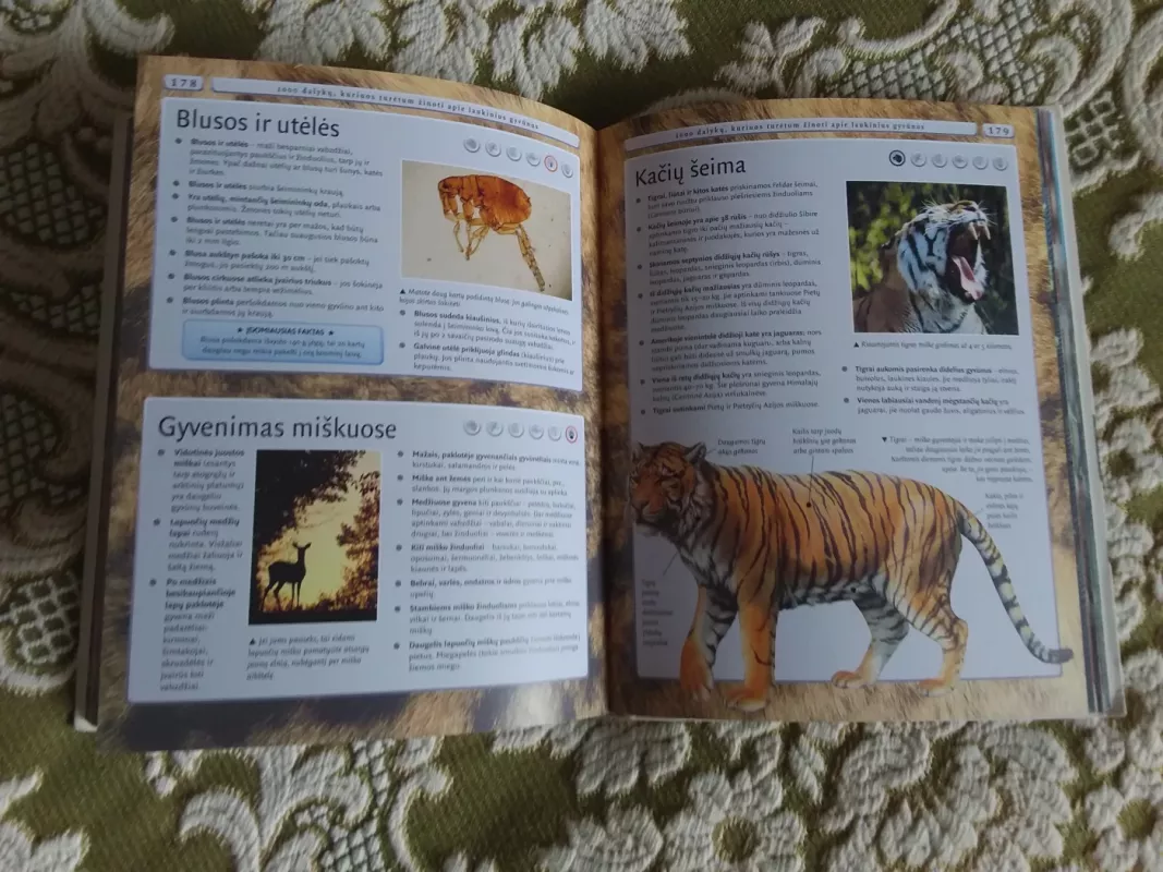 4000 dalykų, kuriuos turėtum žinoti apie gyvūnus - Autorių Kolektyvas, knyga 4
