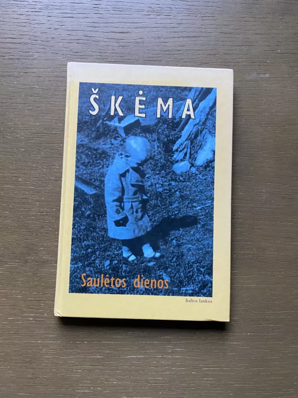 Saulėtos dienos - Antanas Škėma, knyga