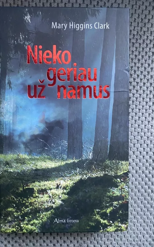 Nieko geriau už namus - Autorių Kolektyvas, knyga