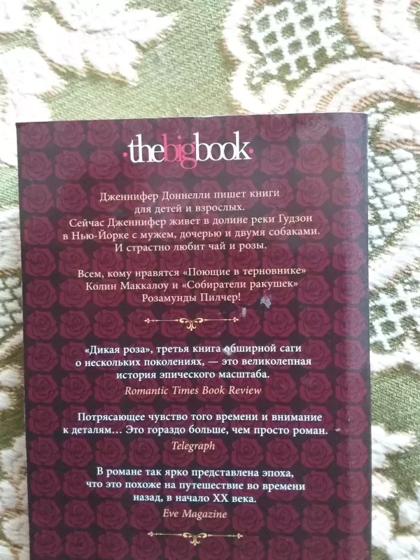 Дикая роза - Дженнифер Доннелли, knyga 3