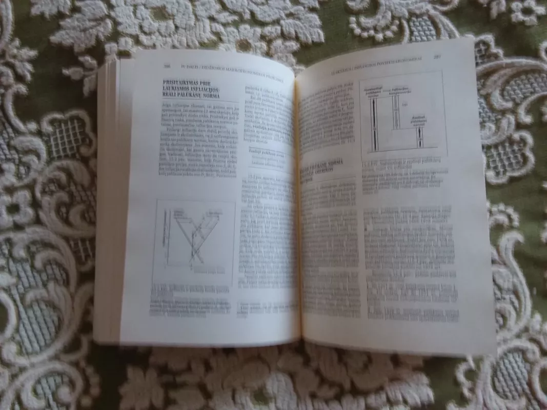 Makroekonomika - P. Wonnacott, R.  Wonnacott, knyga 5