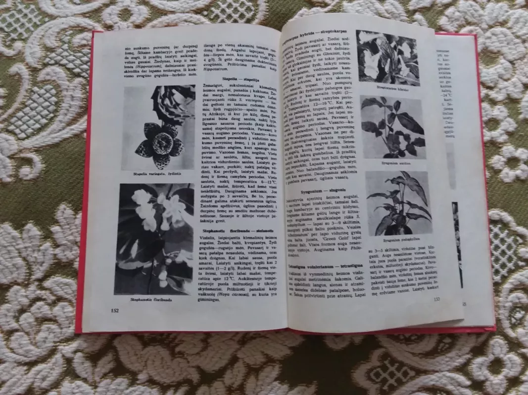 Tūkstantis patarimų gėlių augintojui - P.G. Vilhelmas, knyga 3