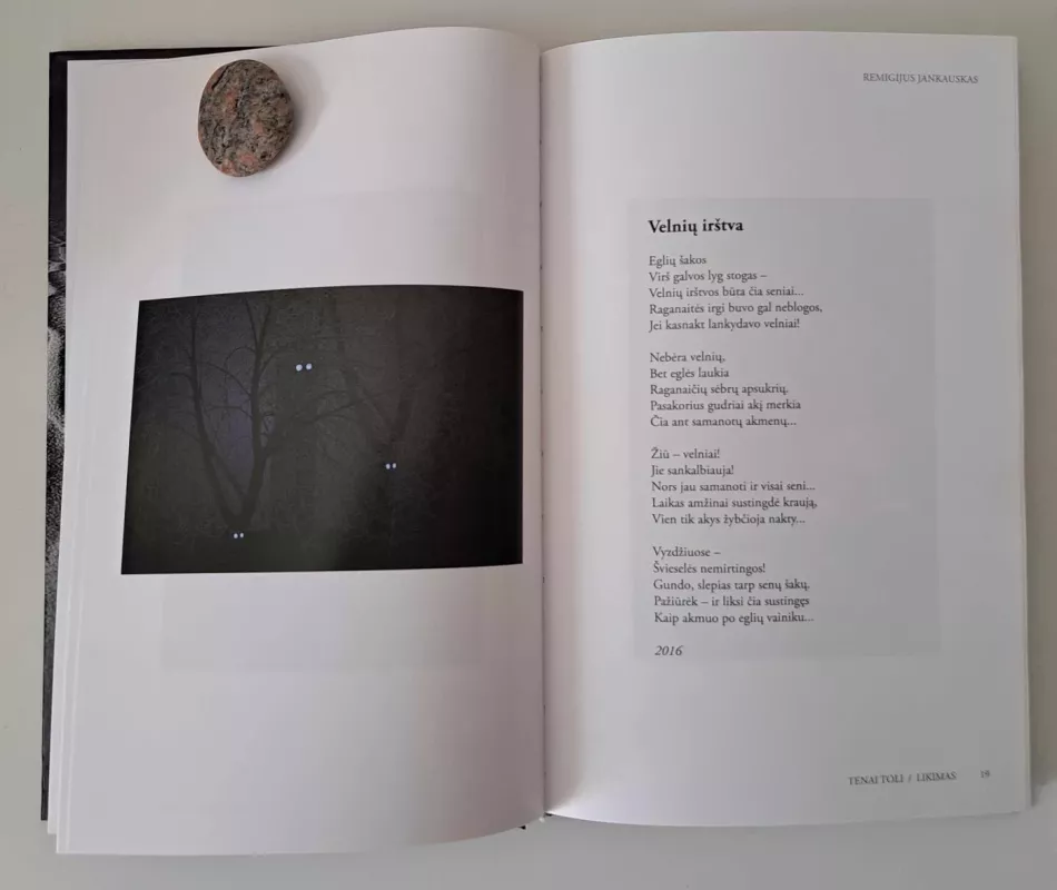 Tenai toli - Remigijus Jankauskas, knyga 4