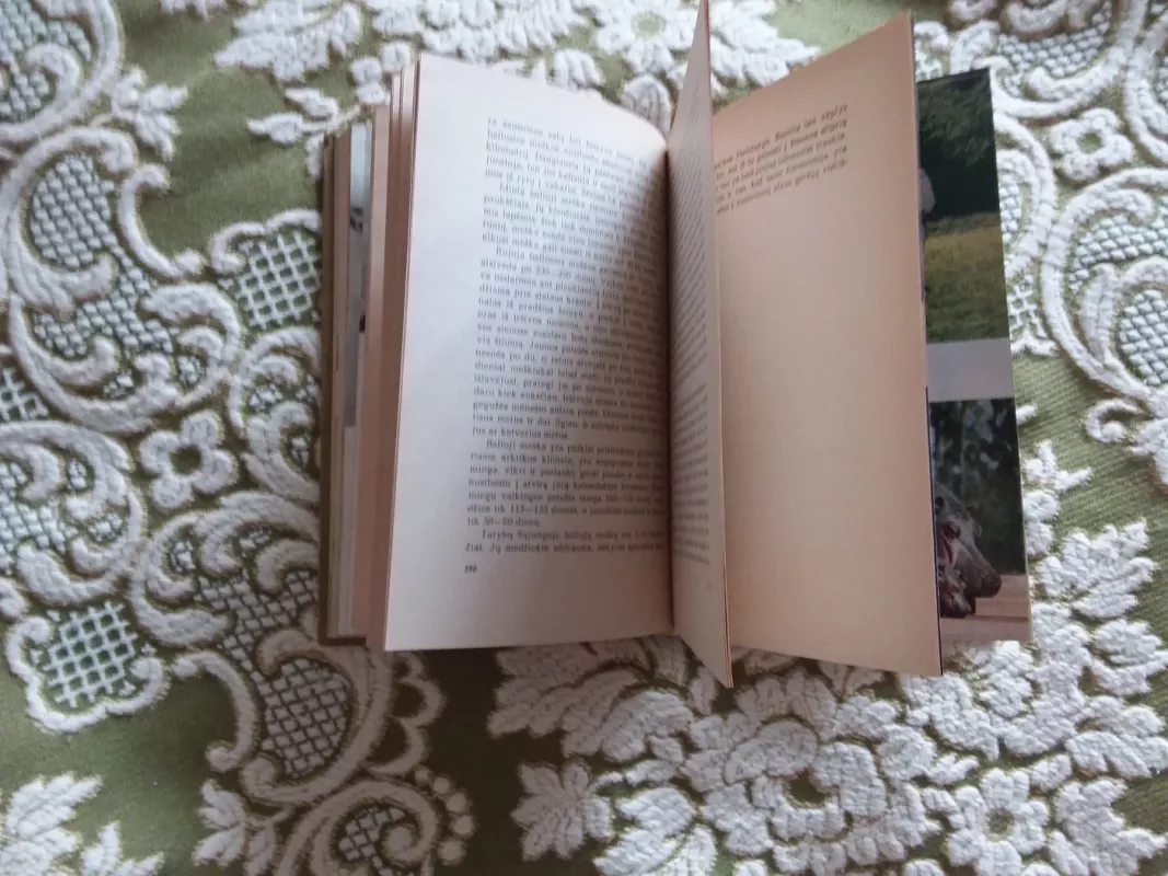 Pasaulio žvėrys - Tadas Ivanauskas, knyga 3