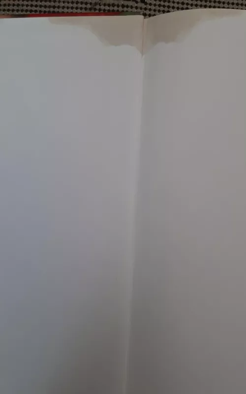 Didžioji virtuvės knyga ELLE - Sylvie Tardrew, knyga 4