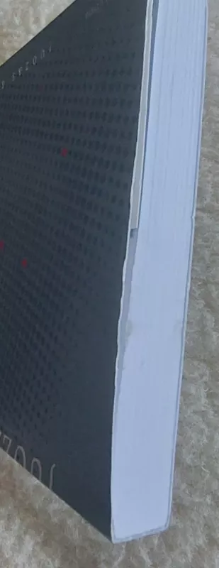 Žaižaruojančios dangaus skeveldros - Juozas Gaižauskas, knyga 3