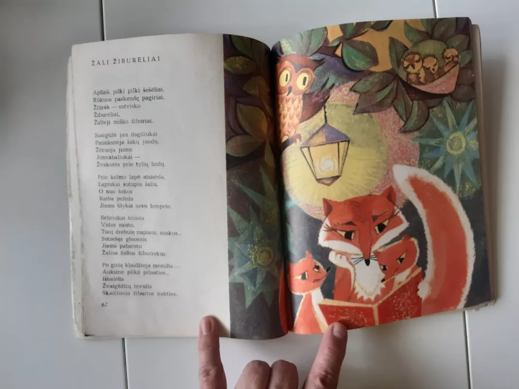 Genių kalvė - Anzelmas Matutis, knyga 4