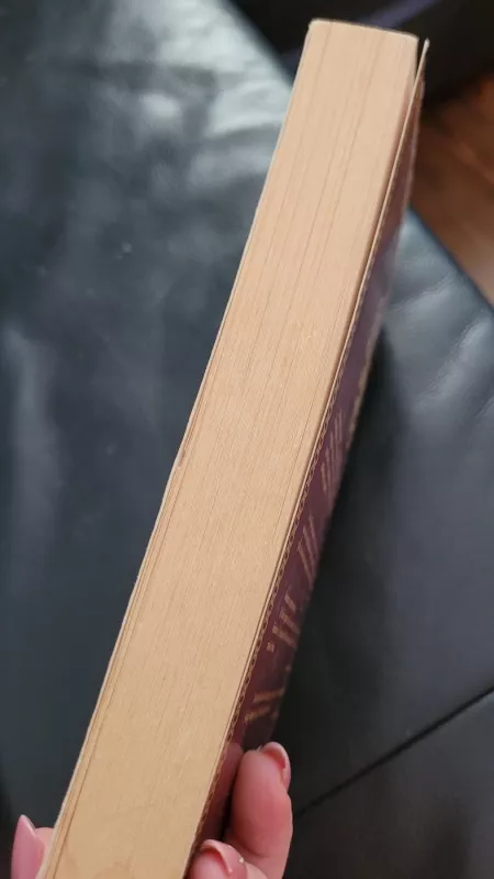 Tibeto šamanas. Milarepos istorija – nuo pykčio iki nušvitimo - Heather Hughes-Calero, knyga 5