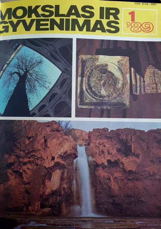Mokslas ir gyvenimas 1989 - Autorių Kolektyvas, knyga 2