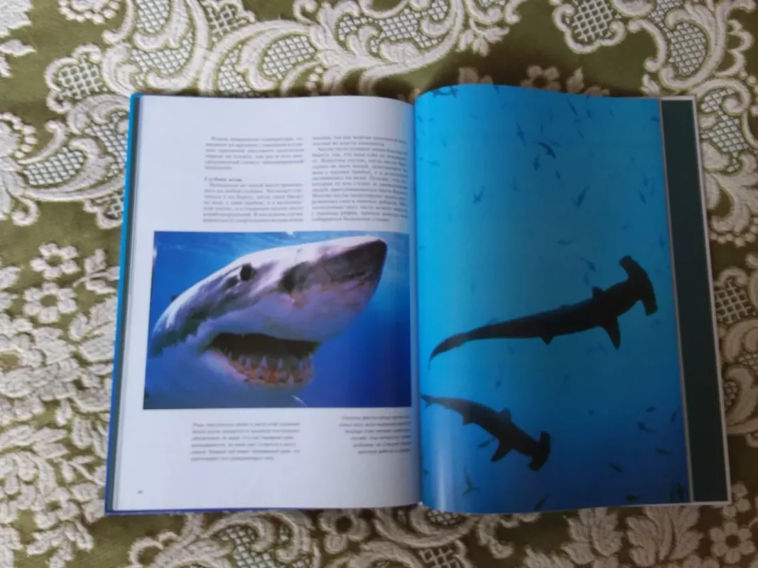 акулы мир животныx - Эндрю Клив, knyga 3