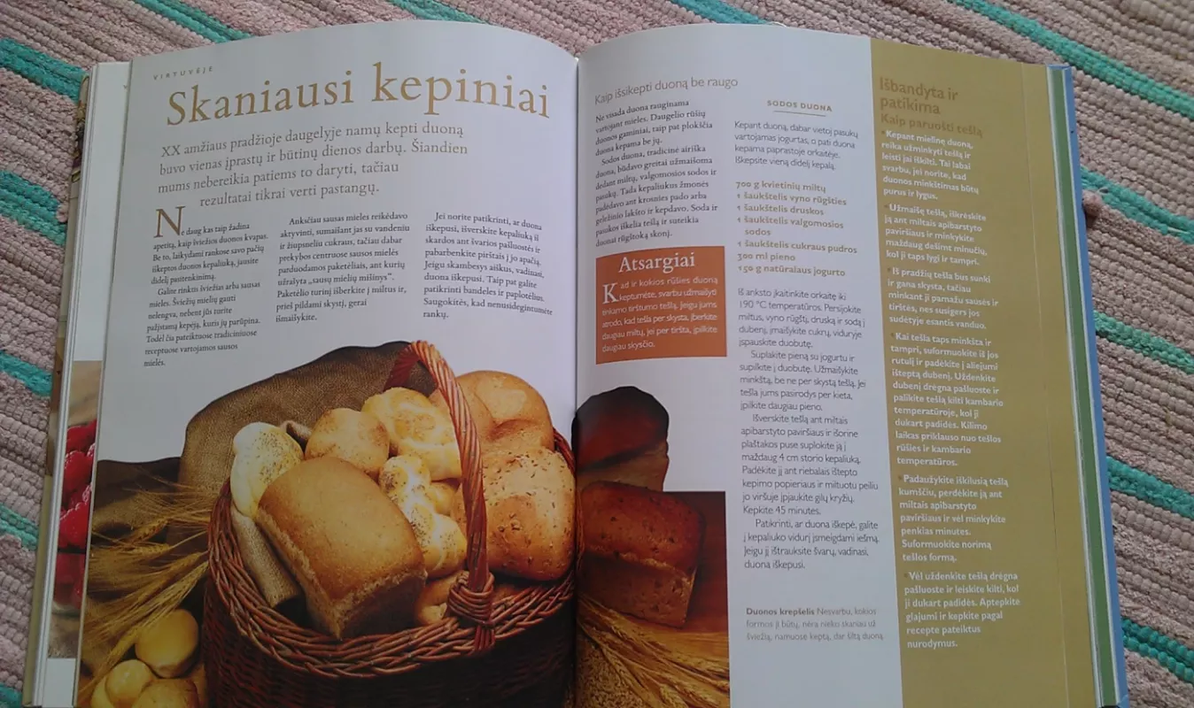 Laiko patikrintos idėjos ir patarimai - Autorių Kolektyvas, knyga 5