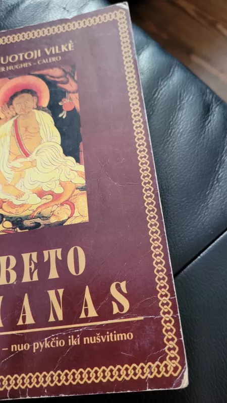 Tibeto šamanas. Milarepos istorija – nuo pykčio iki nušvitimo - Heather Hughes-Calero, knyga 3