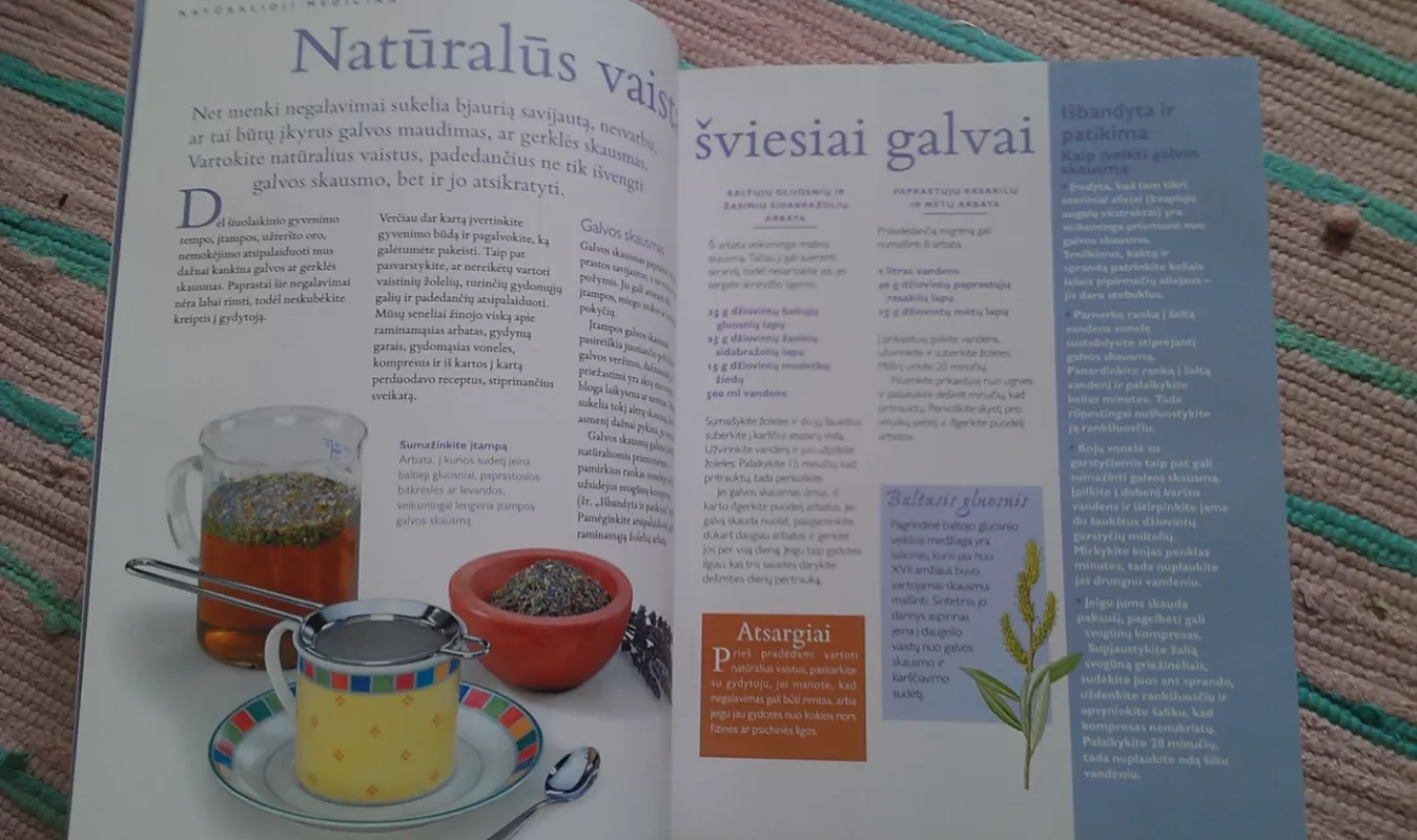 Laiko patikrintos idėjos ir patarimai - Autorių Kolektyvas, knyga 4