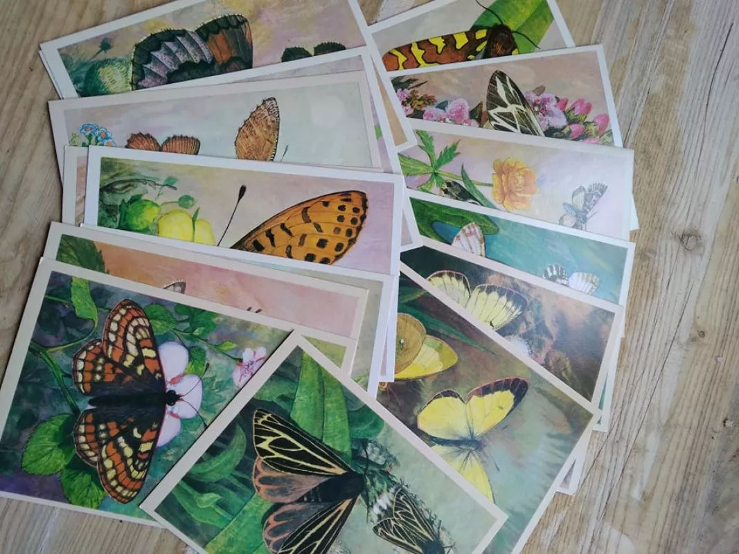 бабочки - Autorių Kolektyvas, knyga 3