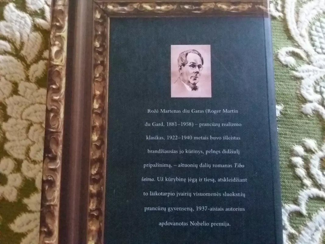 Tibo šeima IV tomas - Roger Martin Du Gard, knyga 4