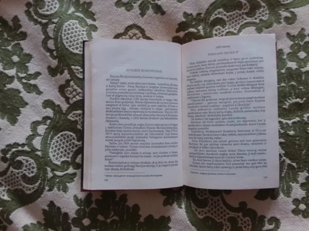 Įveikti barjerai. Pilis tarpeklyje - Kartland Barbara, knyga 3