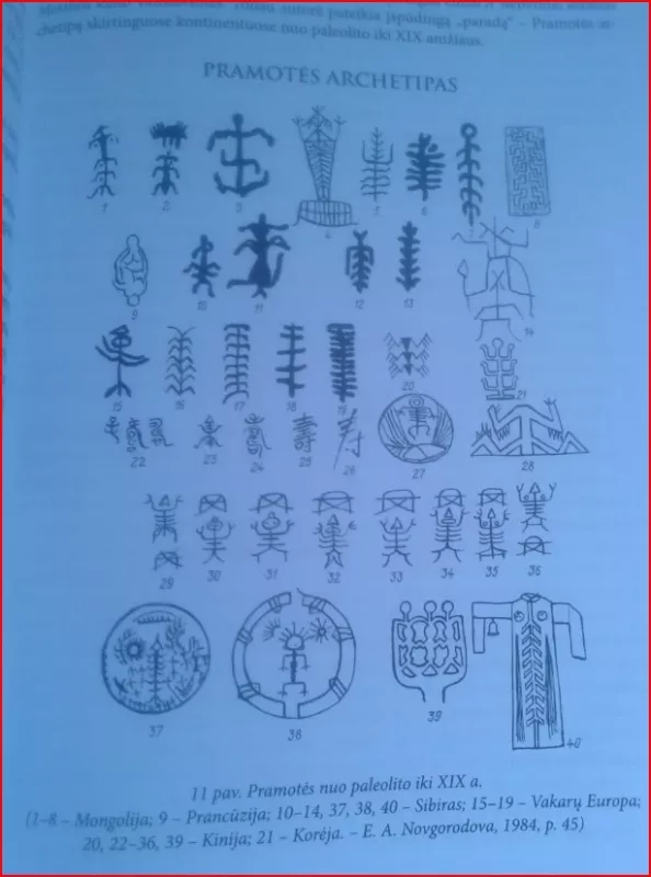 Medeina, elniai mus paliko - Aldona Ragevičienė, knyga 5